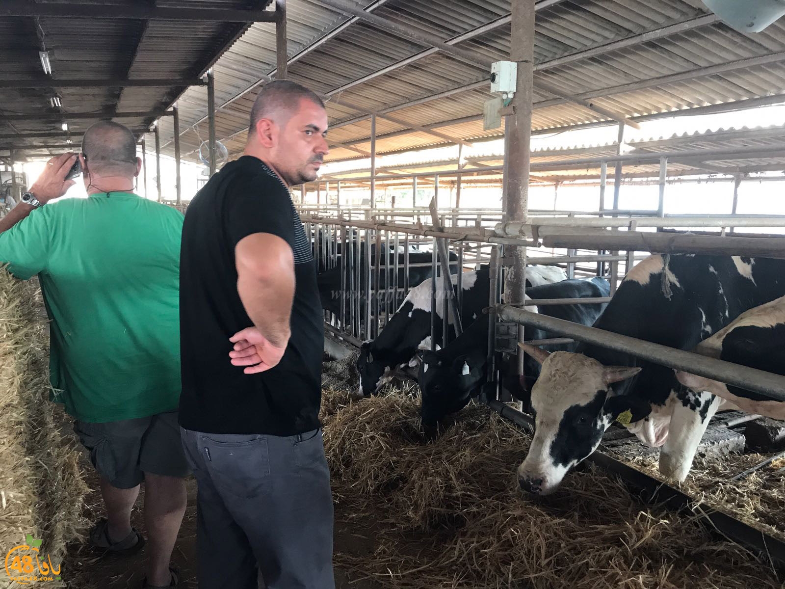 3jool jam3iya yaffa (3).jpg